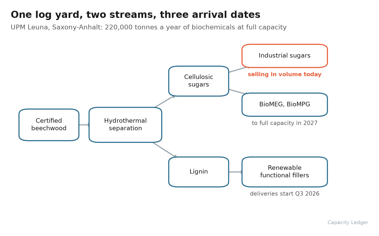 Beechwood into hydrothermal separation at UPM's Leuna biorefinery, splitting into cellulosic sugars that become industrial sugars and glycols, and into lignin that becomes renewable functional fillers